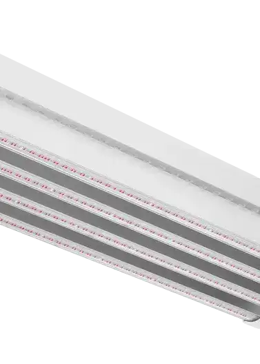 DLI APEX-Series LED Toplight