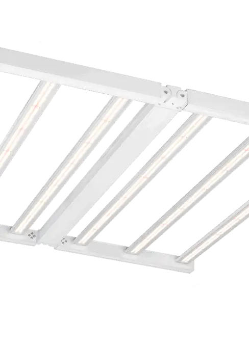 E-Pap Morpho 660W