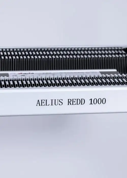 Aelius REDD