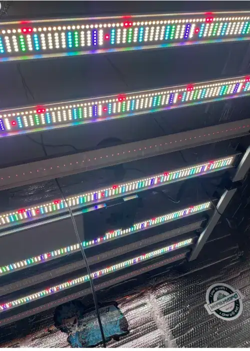 Nova Sun 8-Bar Spectrum Tuning 950W (3-Channel)