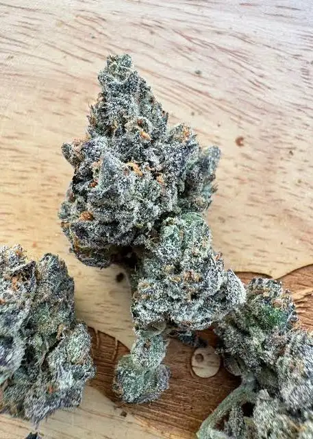 Cherry Sherbet