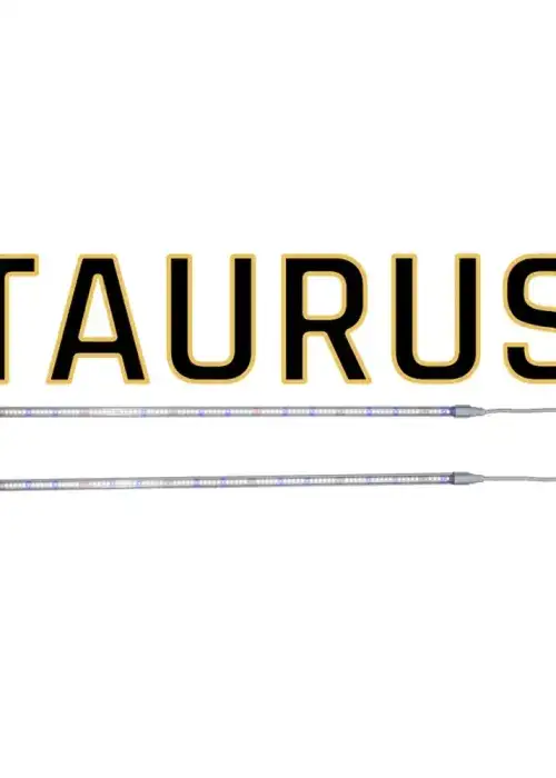 Taurus