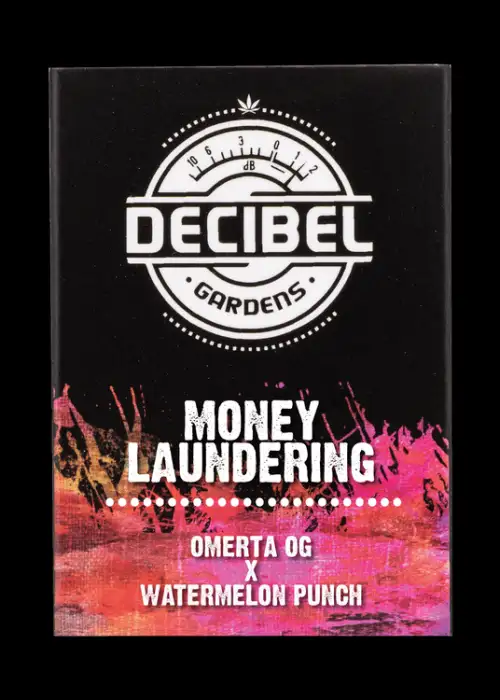 Money Laundering