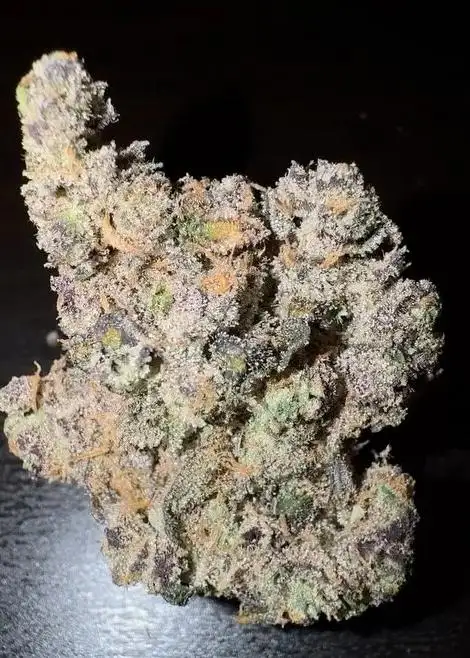 Zours