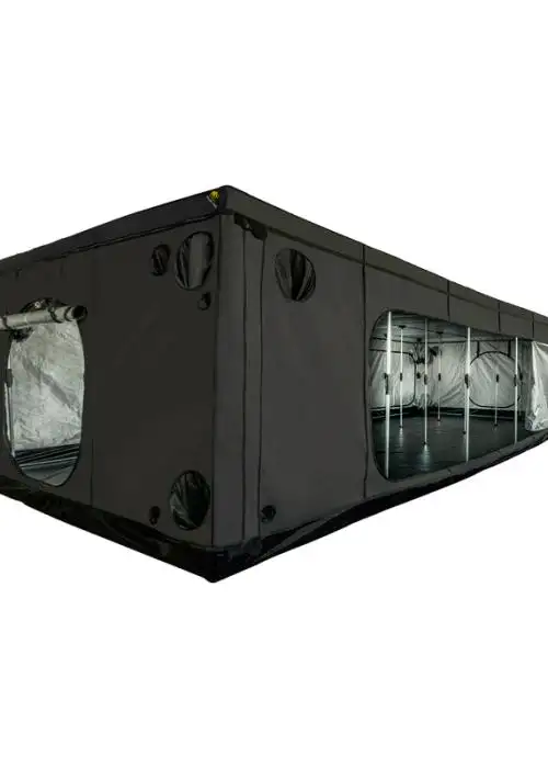Elite S.A. 900LElite S.A. 900L