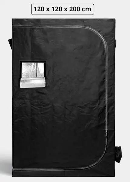 Light Plus 120x120x200