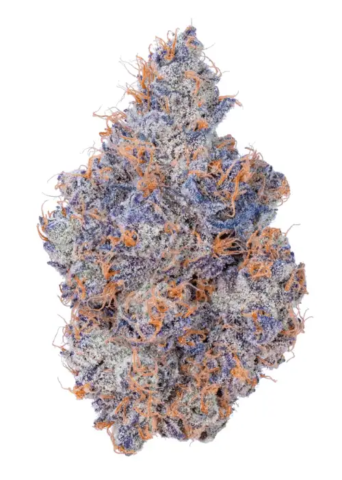 Cherry Fade