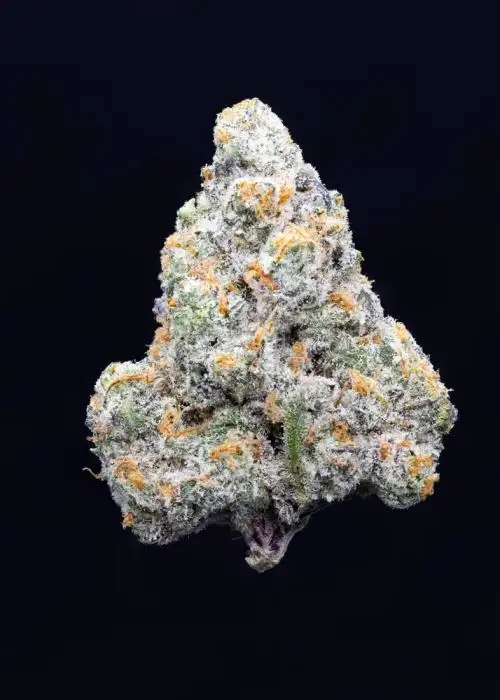 Jack of Diamonds