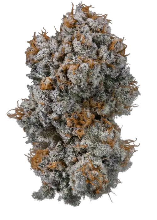 Guava Gas