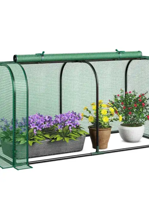 Mini Portable Greenhouse