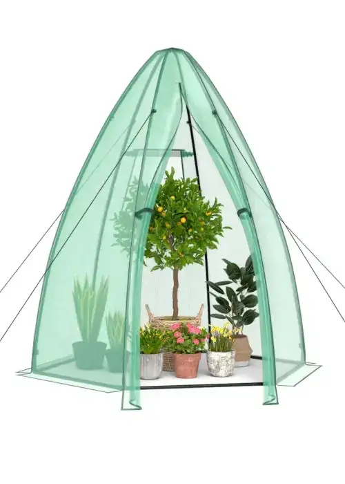Portable Walk-in Greenhouse – 5.5’ x 5.5’ x 6’