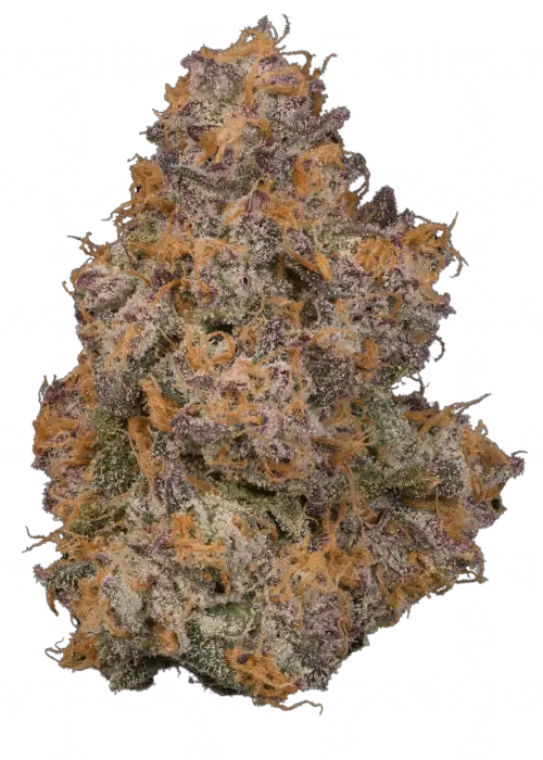 Lemon Ice