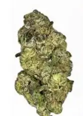 Purple Carbonite