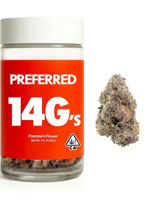 Purple Medusa