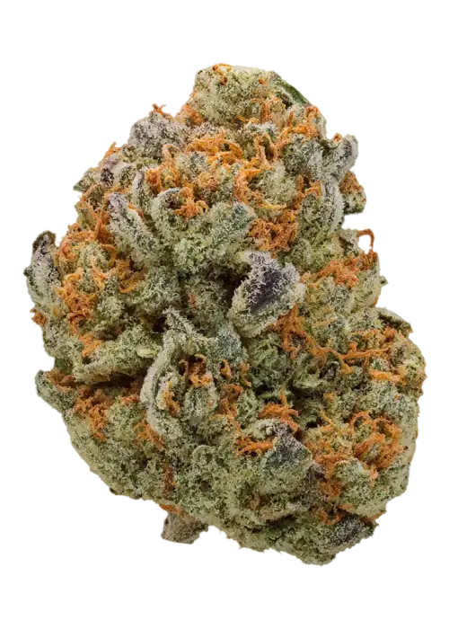 Orange God