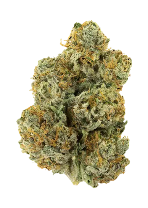 Lemon Drip