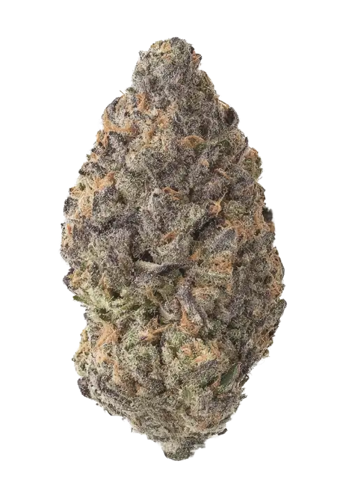 Poison Lime