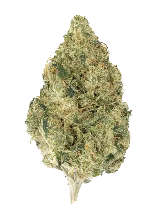 Banana Guava