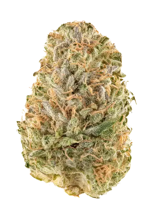 Cherry Vanilla OG