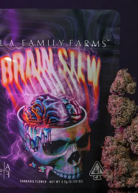 Brain Stew