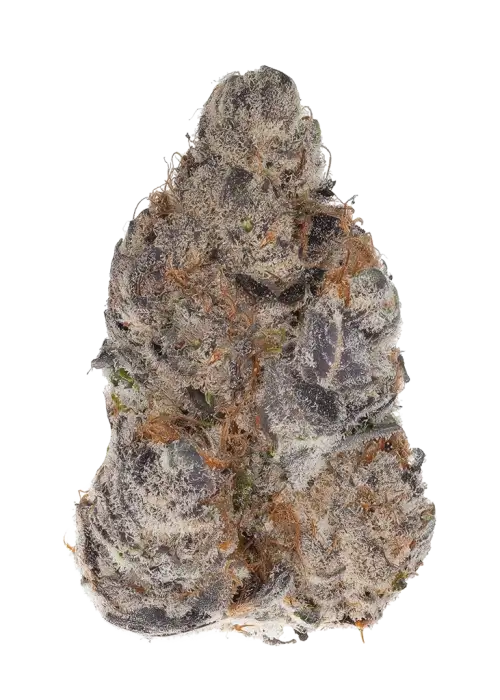 Lime Zoda