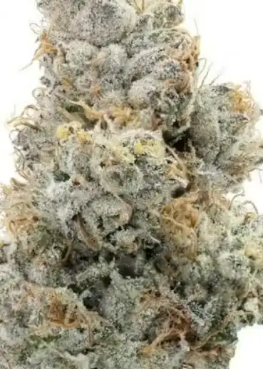Creme de la Creme