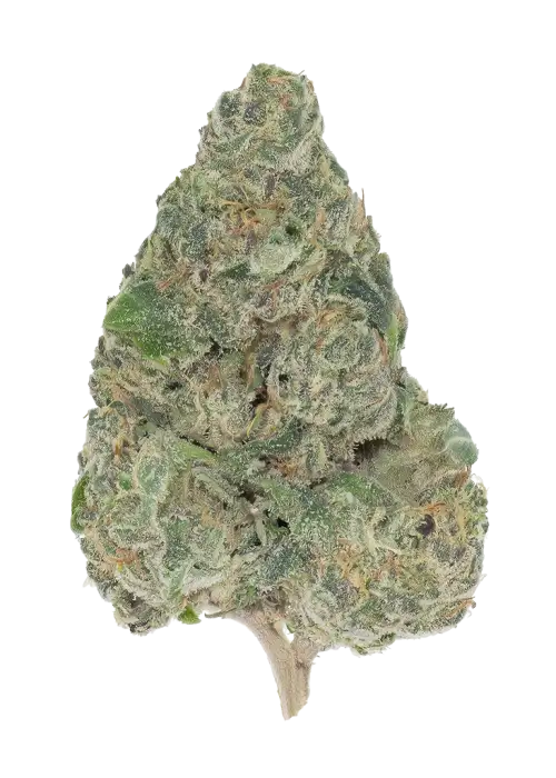 Butter Fat OG