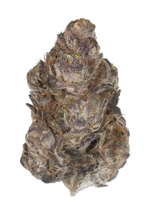 Pomengranade