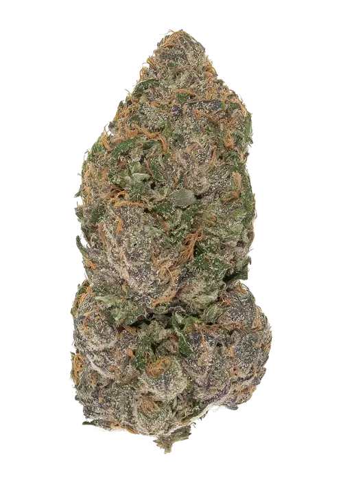 Cherry Rangoon