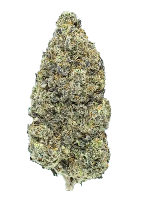 Crunch Berry Diesel
