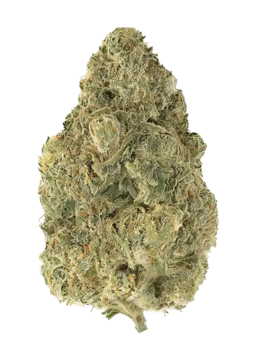 Illegal OG