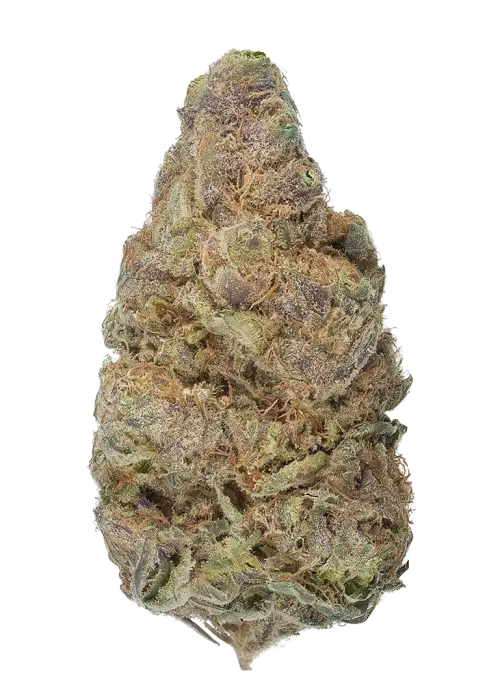 Dragon Spit