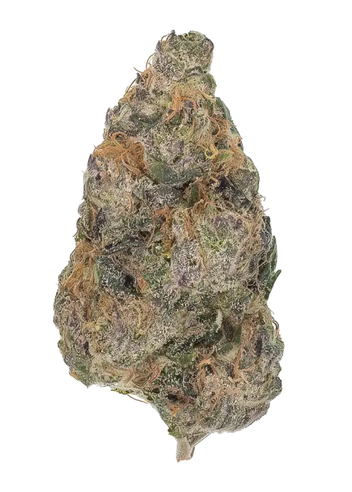 Deadhead Irene