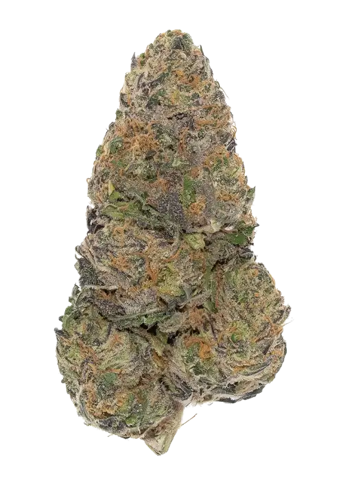 Skunk Gas