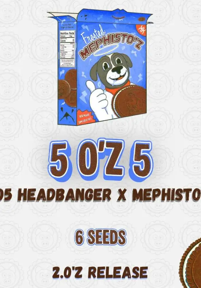 5 O'Z 5