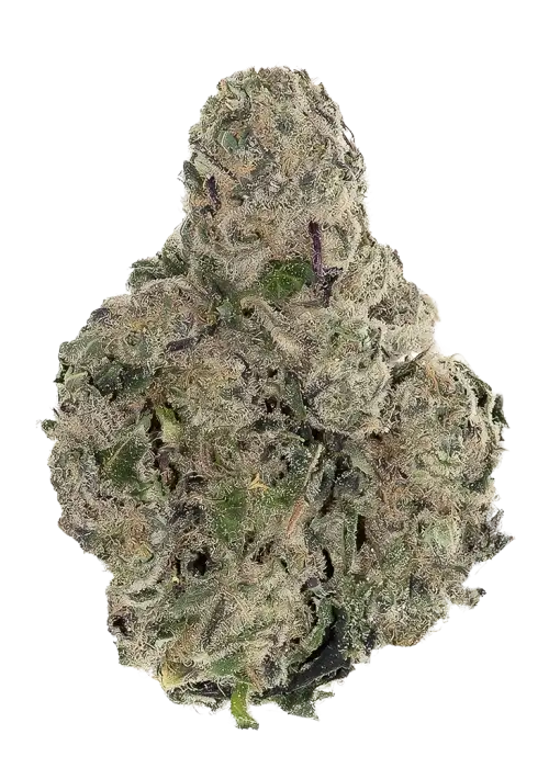 Red Berry Burst