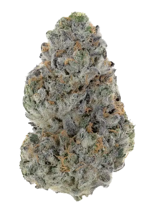 Pacific Moon