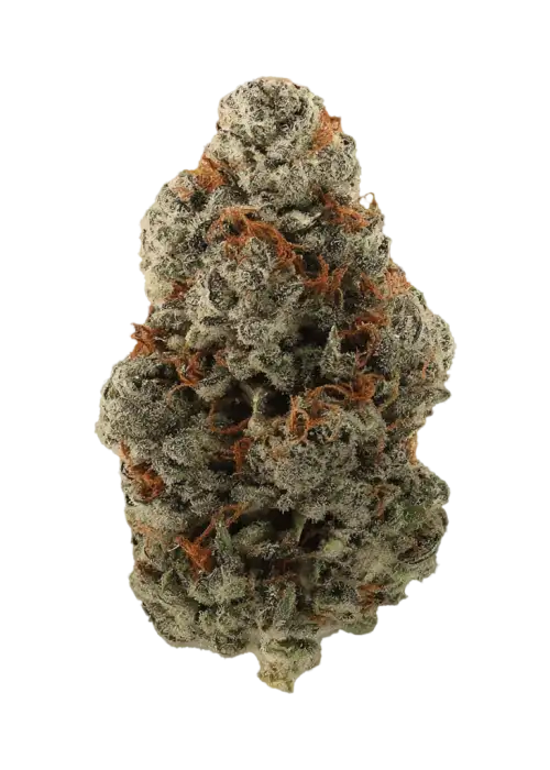 Baby Heady