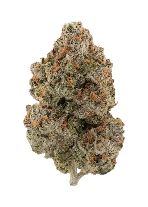 Heady Sherbet