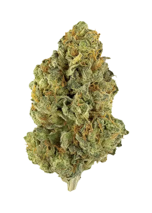 Clean Kush