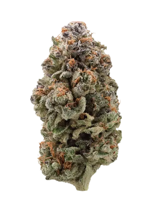 Blue Spring Cookies