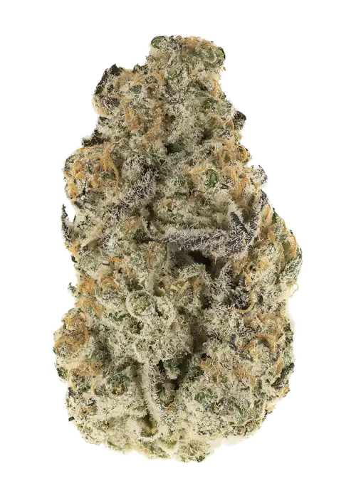 Shady Valley Og