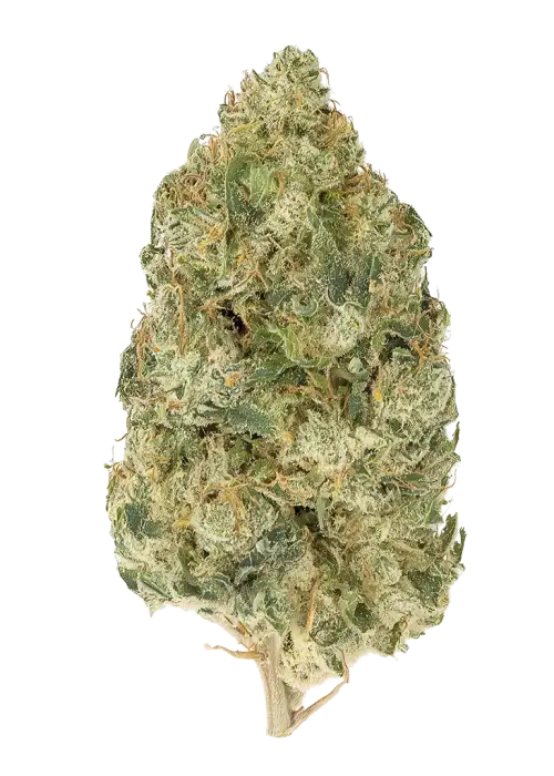 Diamond OG