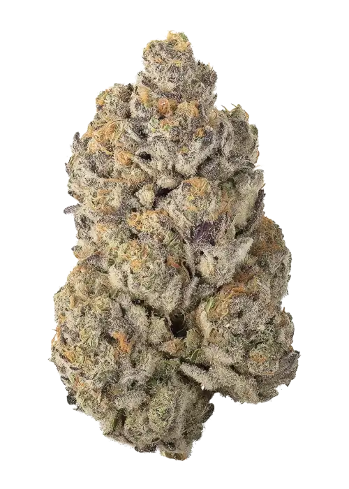 Mahalo Marshmallow by Nimbus