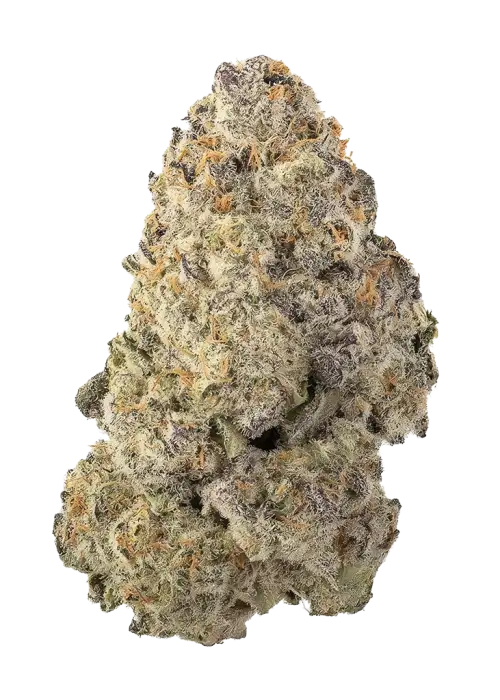 Tropical Riddlez