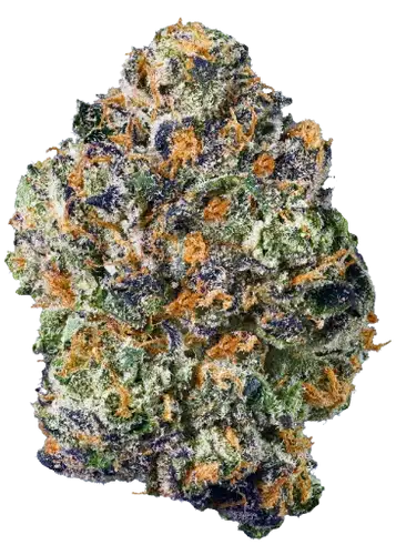 Oasis OG
