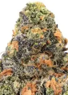 Neon Lemon