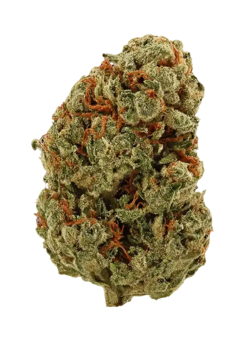 Wizard OG