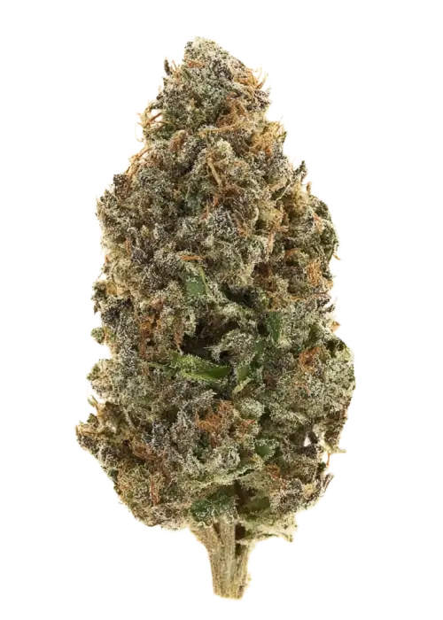 Perfect OG