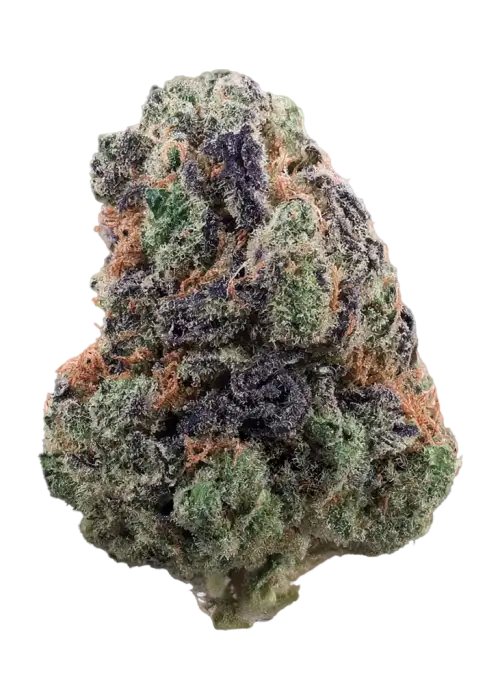 Blue Grapes